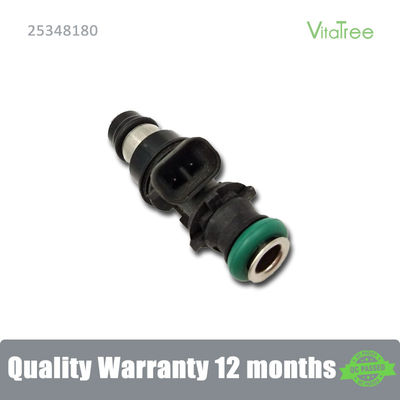 25176061 17113739 25348180 Auto Fuel Injector For 01-07 GMC Cadillac Chevrolet 4.8
