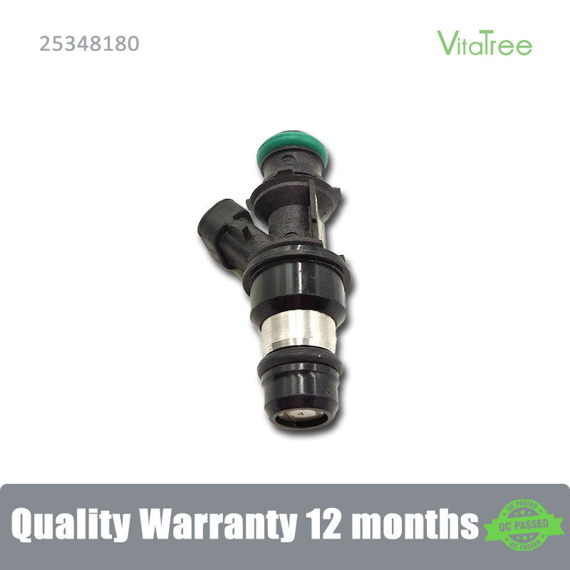 25176061 17113739 25348180 Auto Fuel Injector For 01-07 GMC Cadillac Chevrolet 4.8